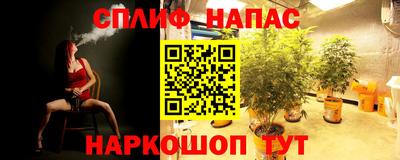 ешки Славгород